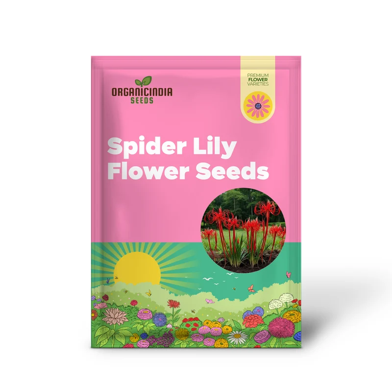 Heirloom Red Spider Lily Flower Seeds, Bulbs Lycos's Radiata Bulbs for Fall Planting(3 Pcs)