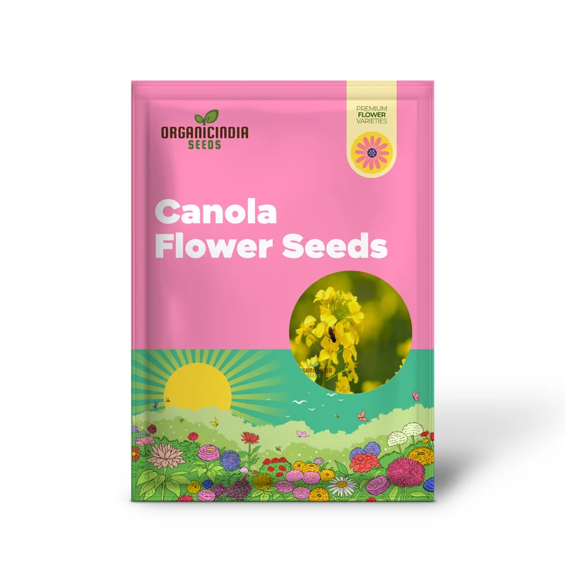 Canola Flower Seeds – Bright Yellow Blooms for Home Gardens and Landscaping