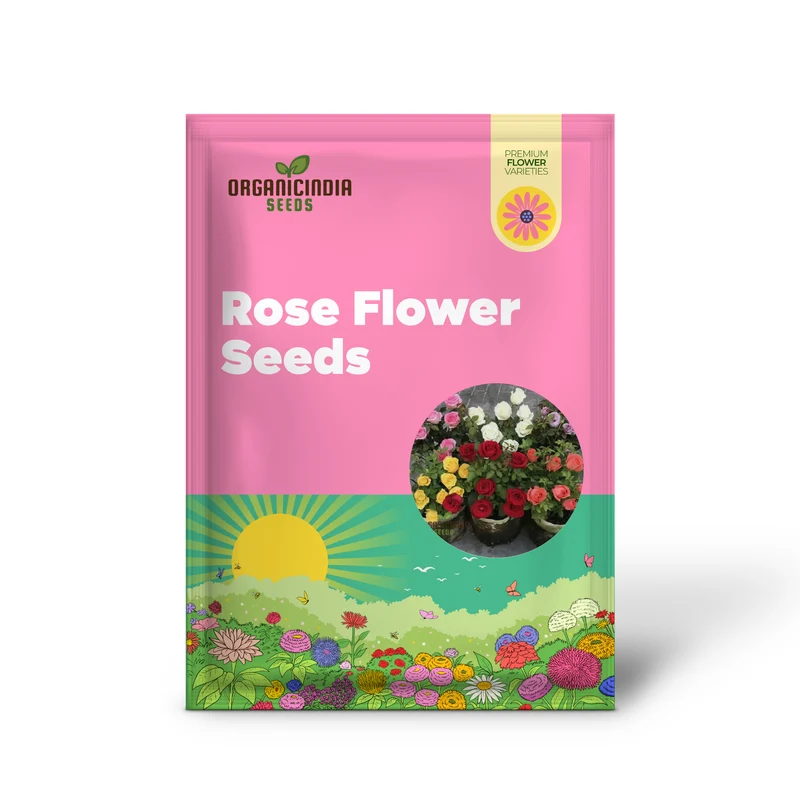 Hybrid All Season Mixed Rose Flower Seeds - Elevate Your Gardening with a Spectacular Array of Blooms, Perfect for Every Season