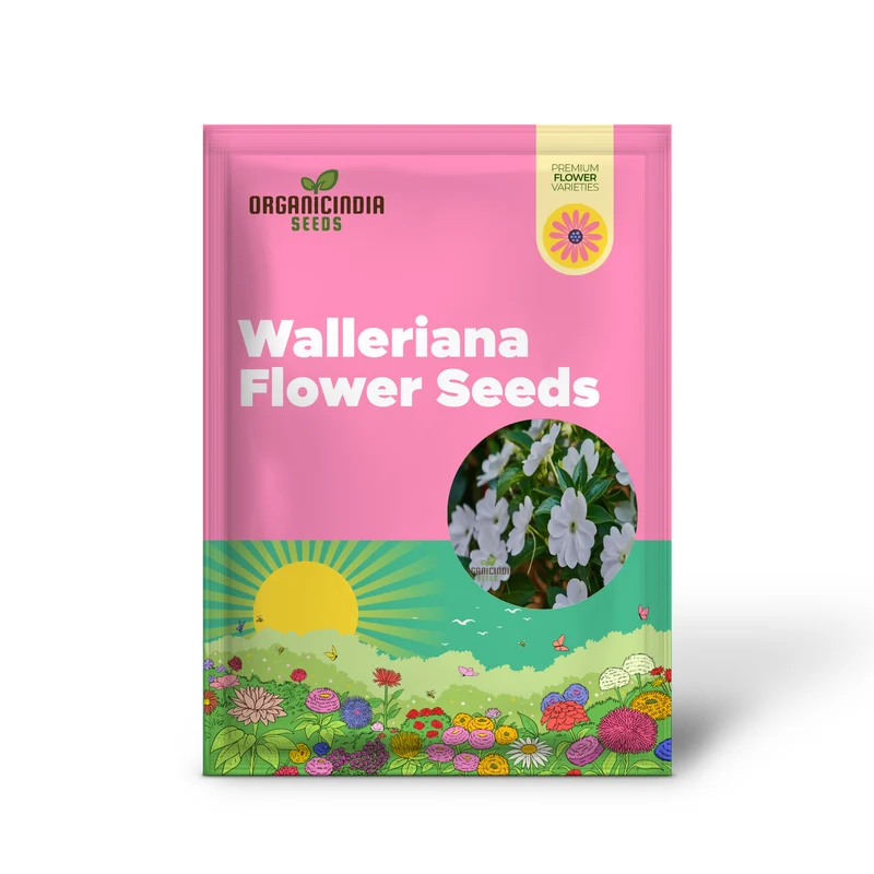 Impatiens Walleriana 'Busy Lizzie' Flower Seeds, Baby Series White â€“ Vibrant Blossoms for Your Garden