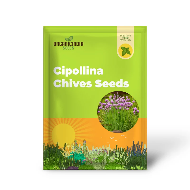 Cipollina Chives Seeds – Premium Flowering Herb for Fresh, Flavorful Harvests