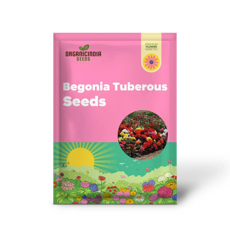 Begonia Tuberous Non-Stop Mocca F1 Mixed - Year-Round Blooms for Your Garden