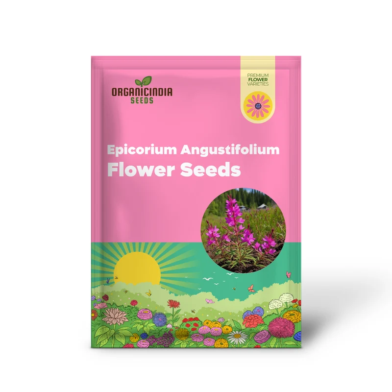 Epicorium Angustifolium Seeds – Vibrant Fireweed Variety for Gardens