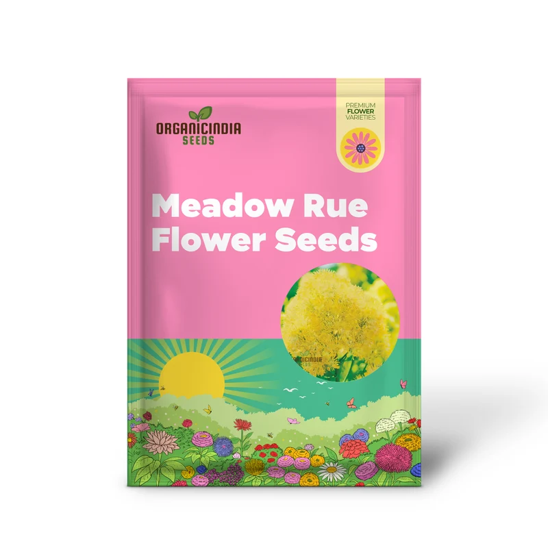 Yellow Meadow Rue Seeds – Vibrant Garden Blooms