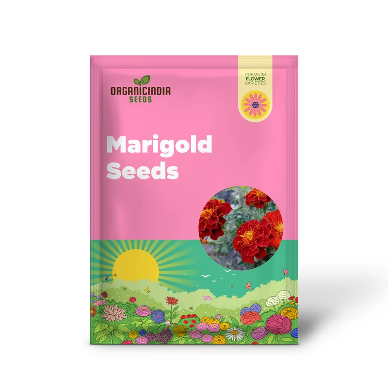 Marigold Tagetes Red Seeds – Vibrant Premium Garden Blooms
