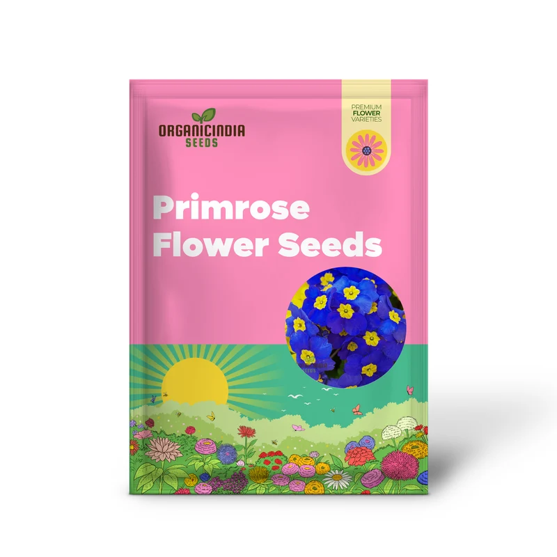 Portal Cool Blue Primrose Flower Seeds, Sun drops Scabies Garden Flower Seeds For Planting Enthusiastic