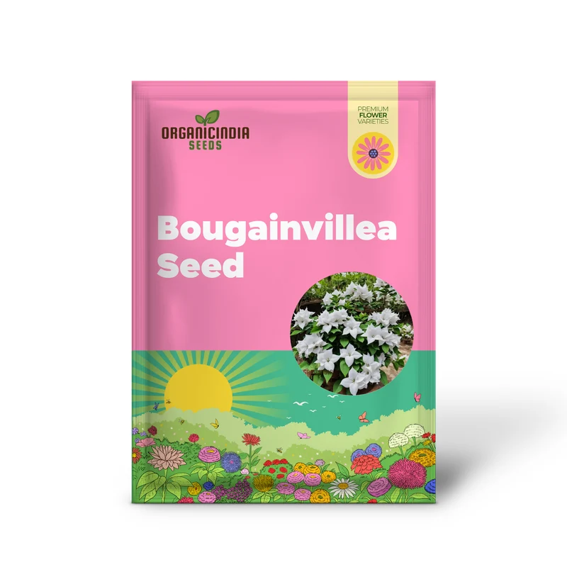 Pure Elegance White Bougainvillea Seed Assortment, Enhance Your Garden with Pristine Beauty
