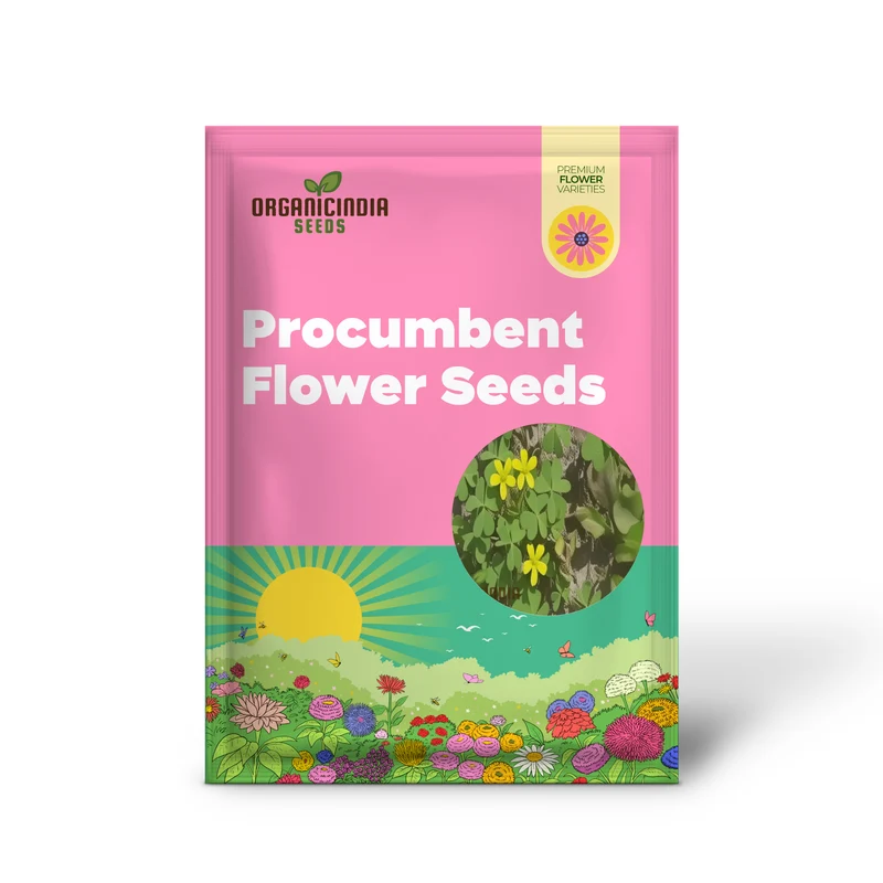 Procumbent Yellow-Sorrel Seeds – Vibrant Yellow Blooms for Garden Planting