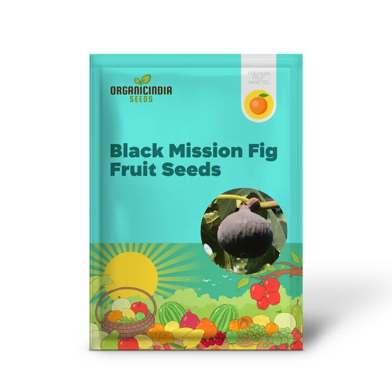 Black Mission Fig High-Quality Premium Fruit Seeds For Planting