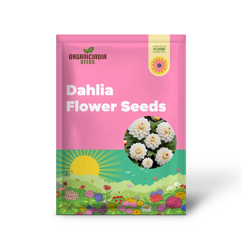 White Dahlia Seeds – Premium Garden Bloom Variety for Elegant Planting