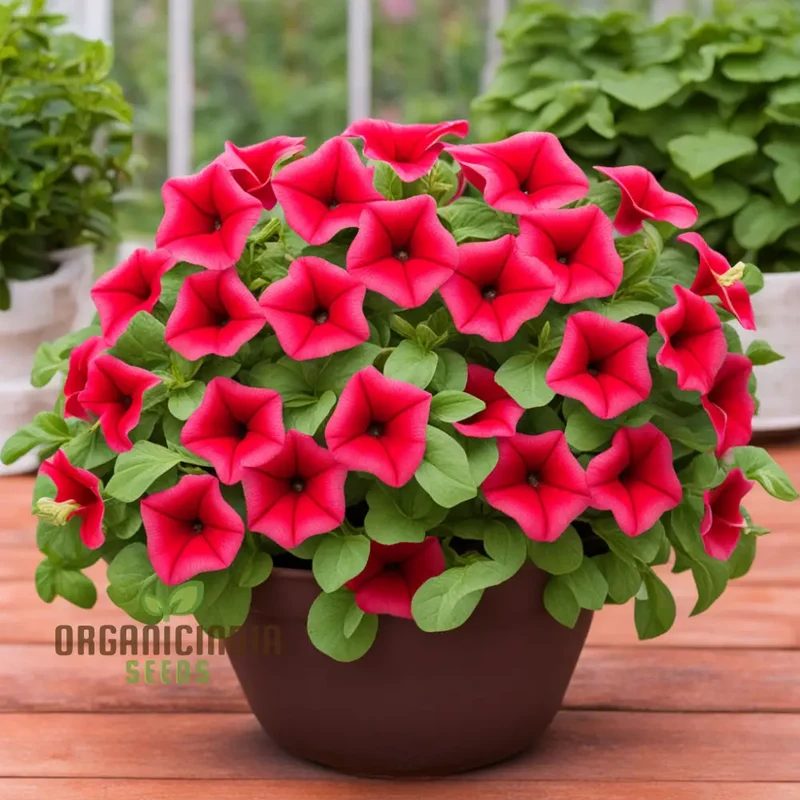 Red Pelleted Petunia Seeds - Easy-to-Sow Annuals for Brilliant Garden Blooms
