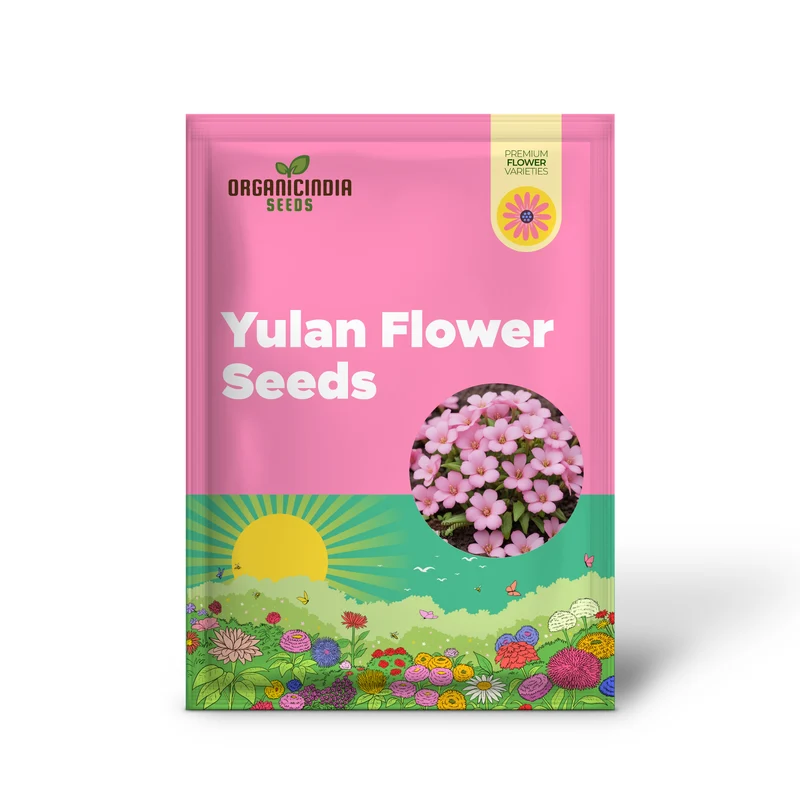 Baby Pink Yulan Flower Seeds for Planting