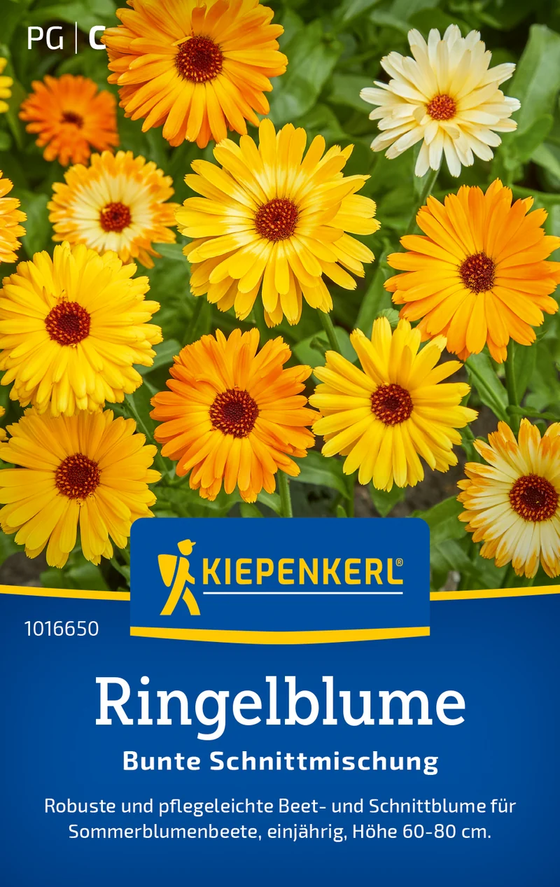 Ringelblume Bunte Schnittmischung Saatgut