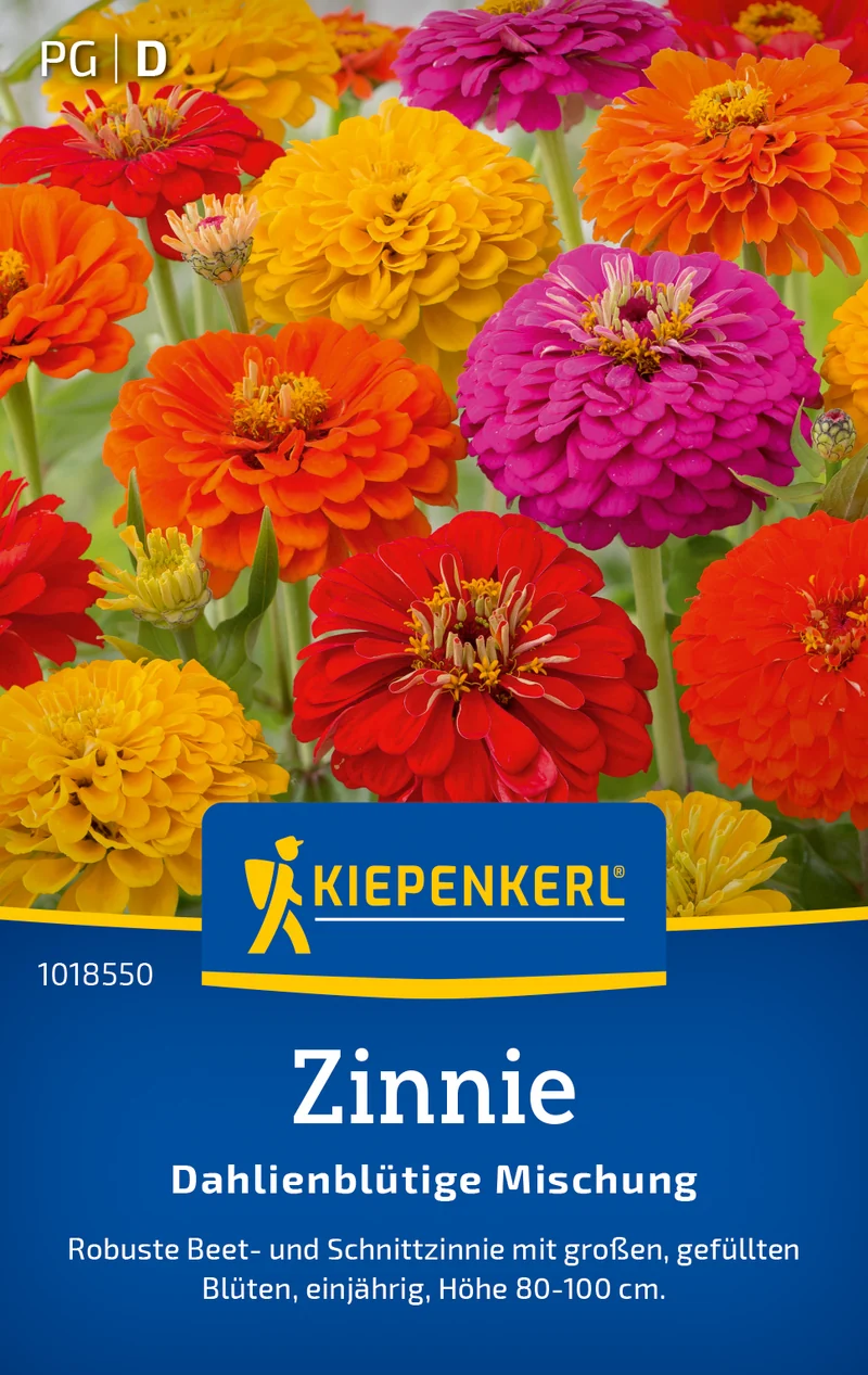 Zinnie Dahlienblütige Mischung Saatgut
