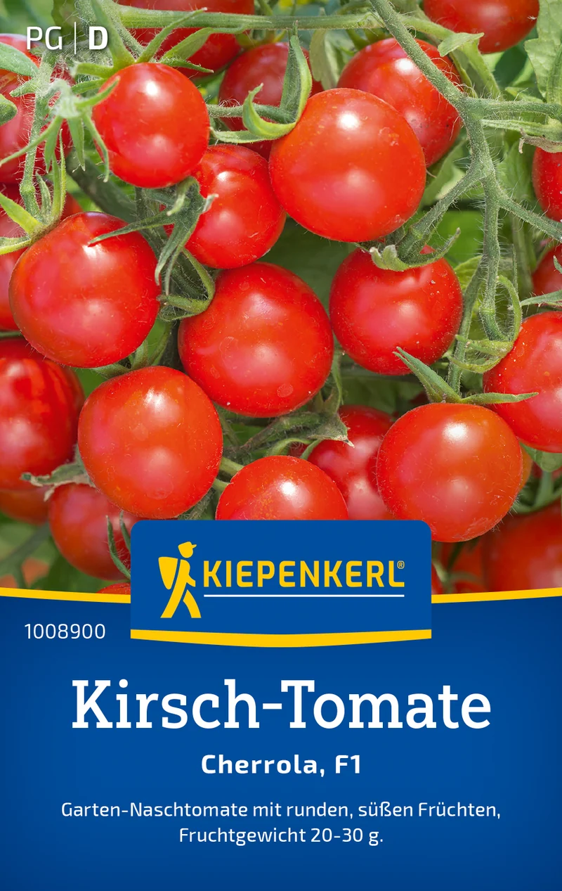 Kirsch Tomate Cherrola F1 Saatgut