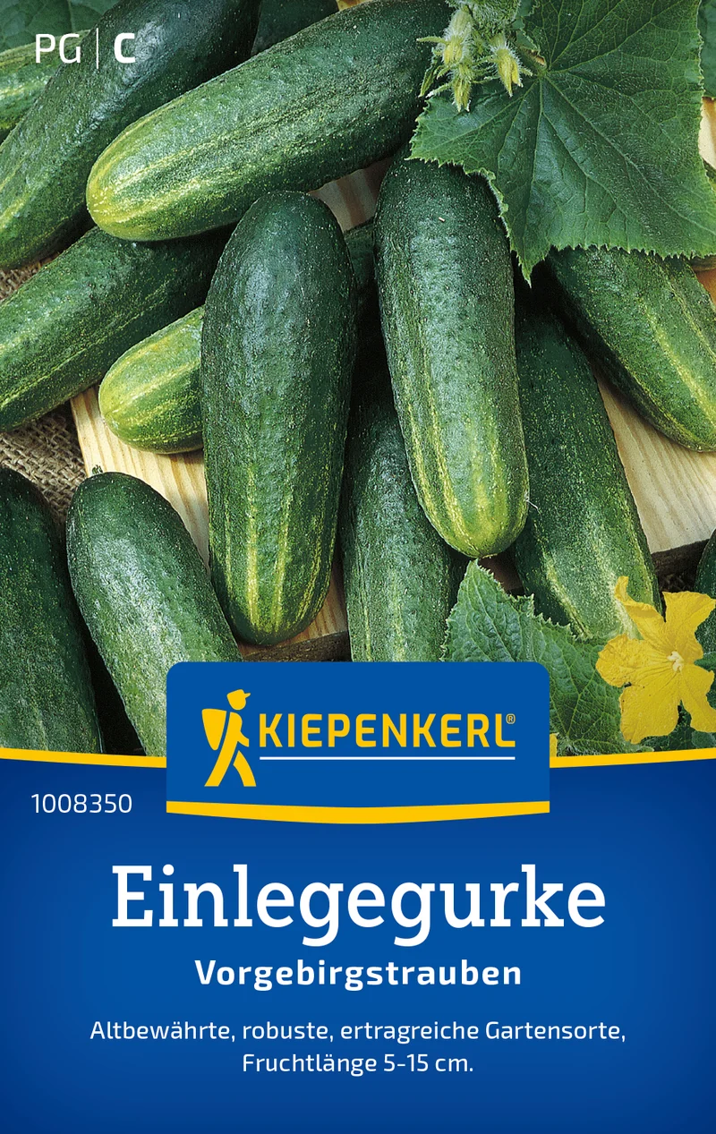 Einlegegurke Vorgebirgstrauben Saatgut