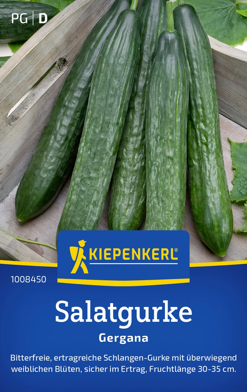 Salatgurke Gergana Saatgut