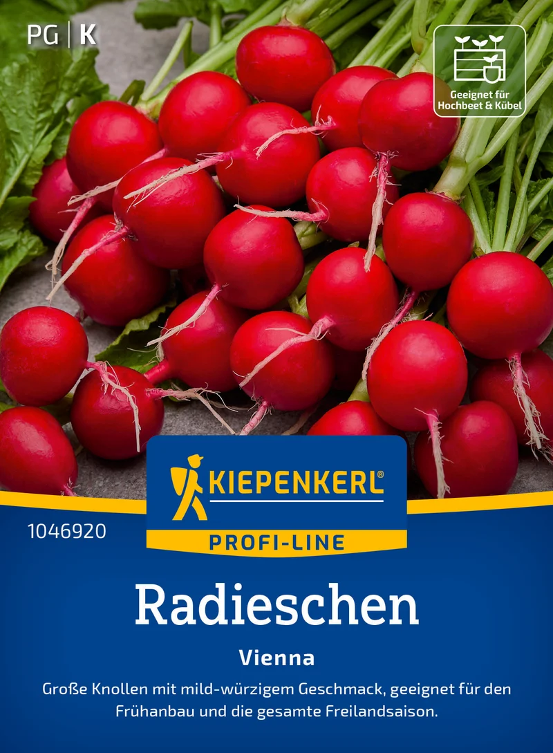 Radieschen Vienna F1 Saatgut