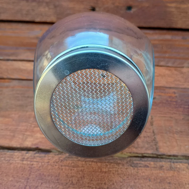 400ml Sprouting Jar with Metal Mesh Lid & Organic Spicy Salad Mix Seeds