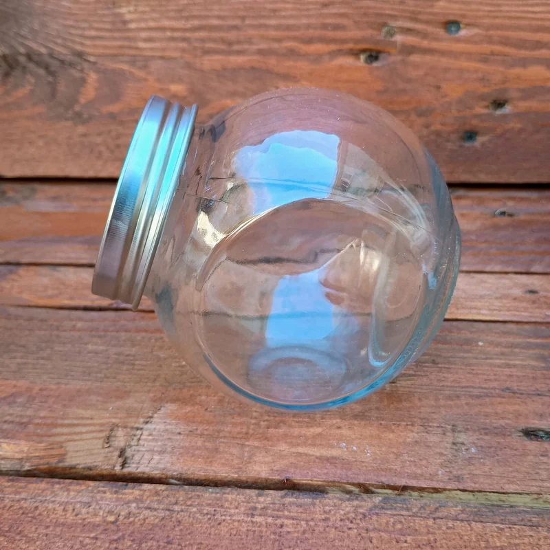 400ml Sprouting Jar with Metal Mesh Lid & Organic Spicy Salad Mix Seeds