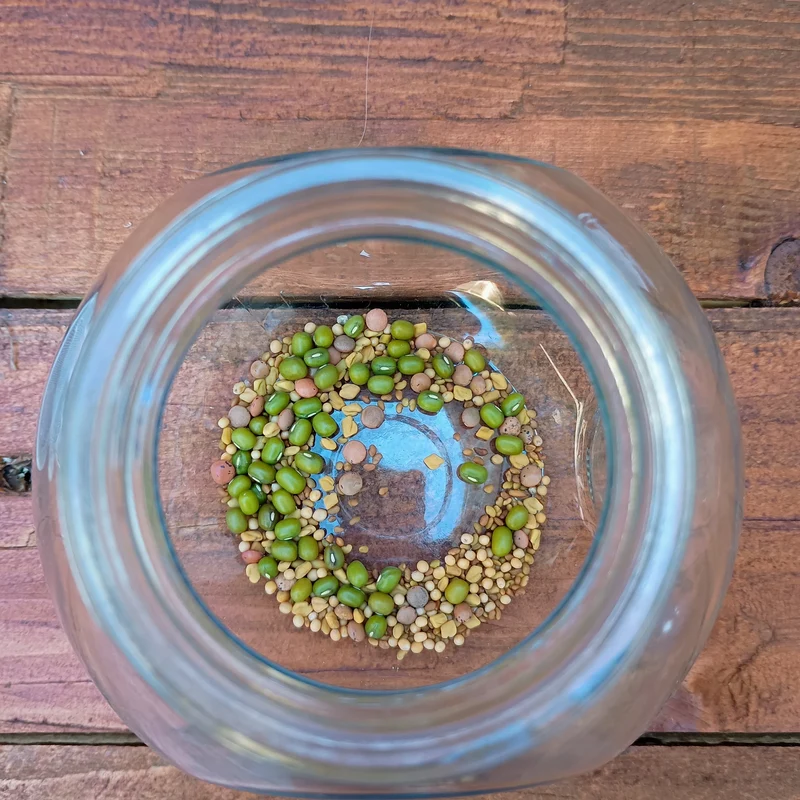 400ml Sprouting Jar with Metal Mesh Lid & Organic Salad Mix Seeds