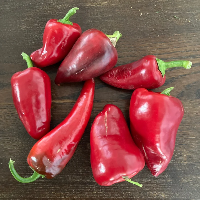 Freiland-Snackpaprika (Grex / Population)