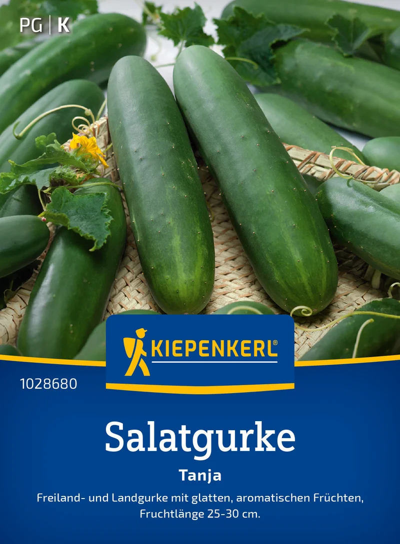 Salatgurke Tanja Saatgut