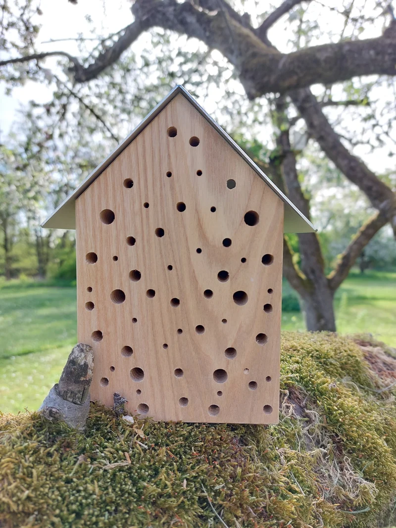Wildbienen-Eigenheim
