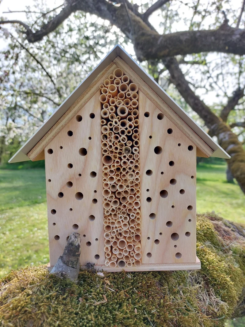 Wildbienen-Eigenheim