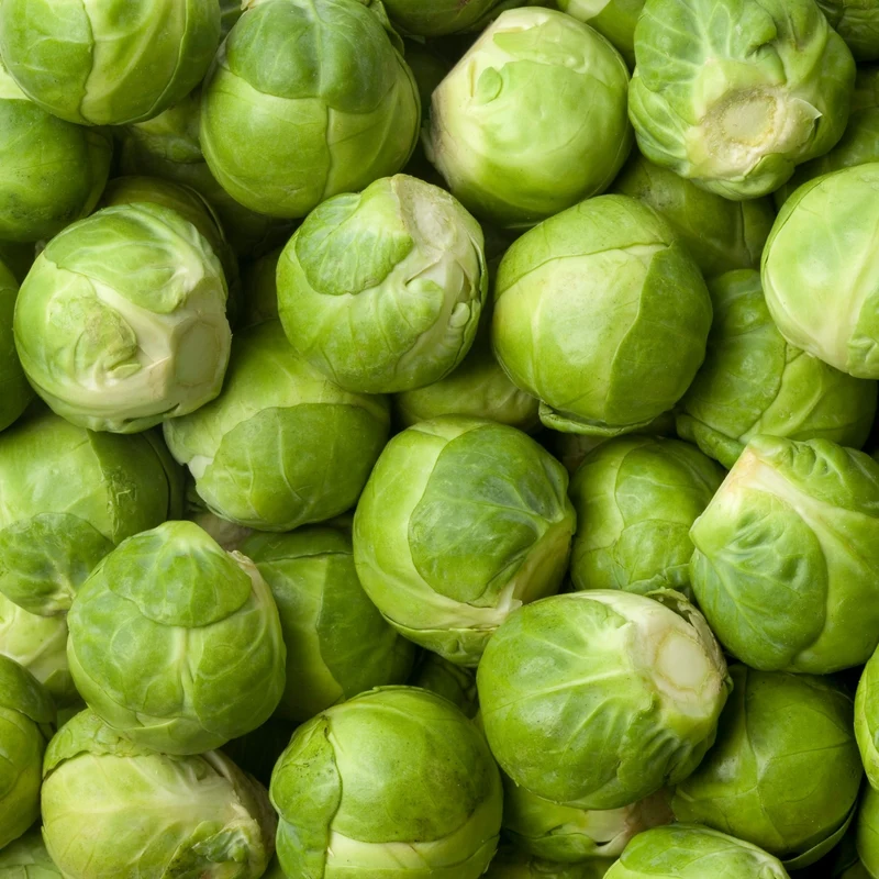 Rosenkohl Long Island Samen