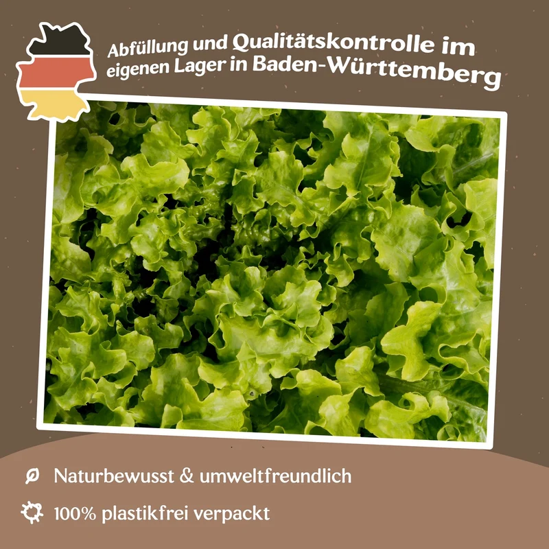 Pflücksalat Salad Bowl Samen