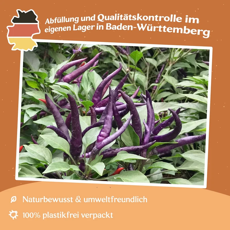 Chili Masquerade Samen