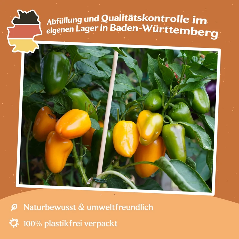 Paprika Yala Samen