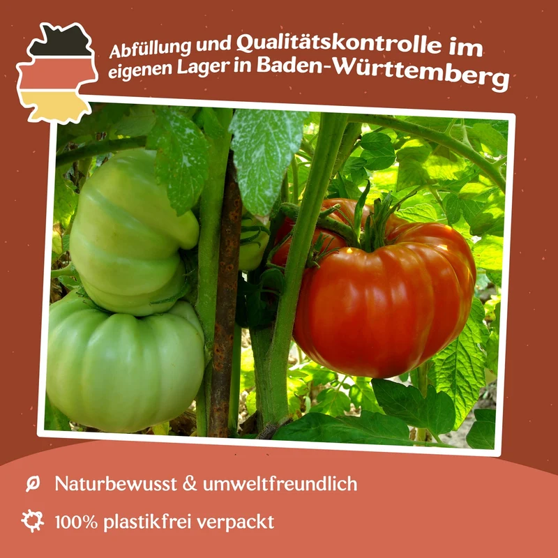 Russe (Rouge) Tomatensamen
