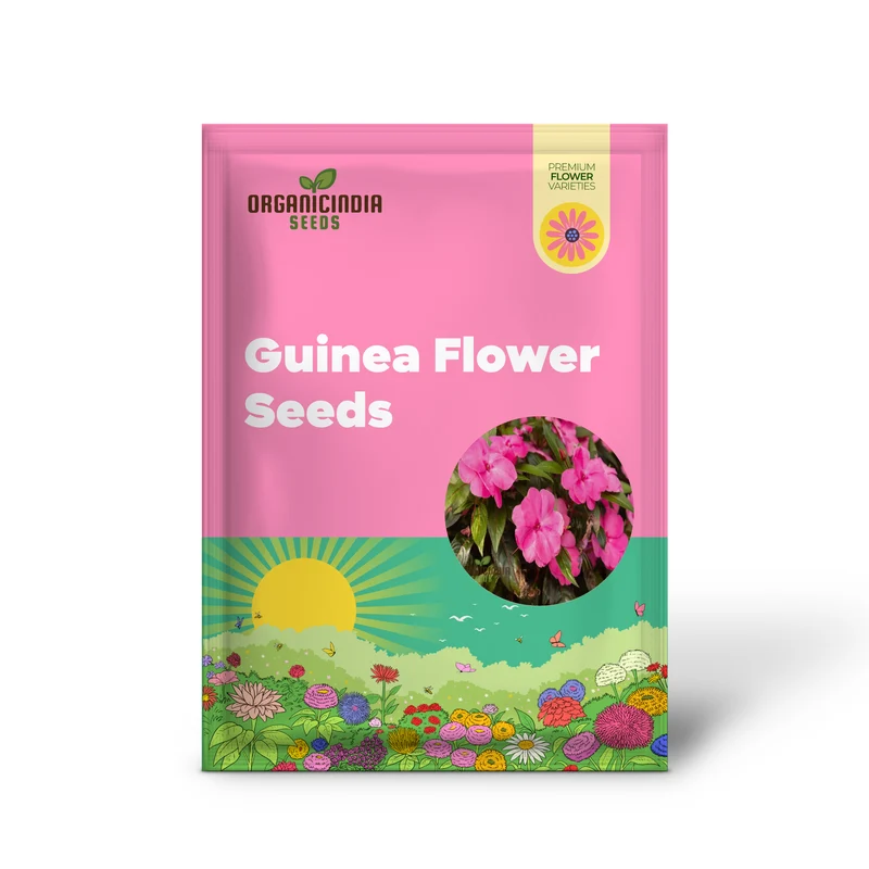 Guinea Flower Seeds – Unique Ornamental Blooms for Garden Planting