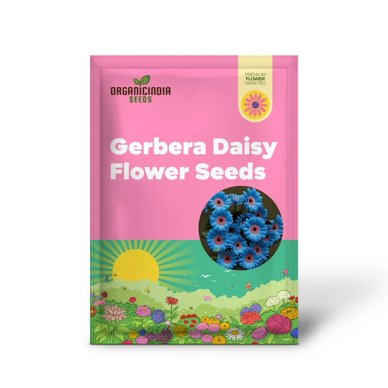 Blue Gerbera Daisy Flower Seeds - Captivating Blooms for Vibrant Garden Highlights
