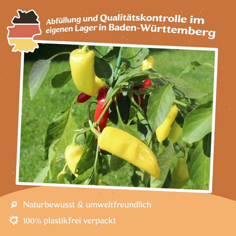 Paprika Hungarian Wax süß Samen
