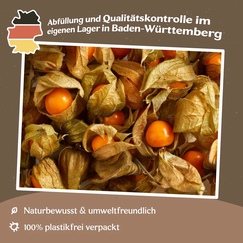 Andenbeere, Physalis peruviana Samen