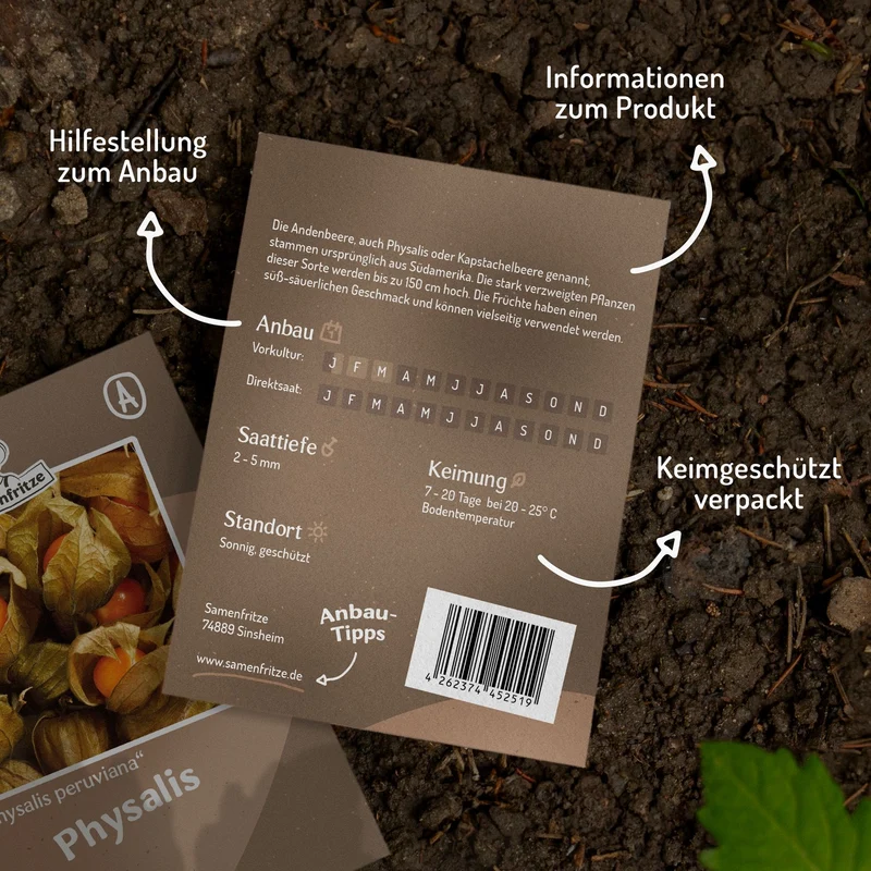 Andenbeere, Physalis peruviana Samen