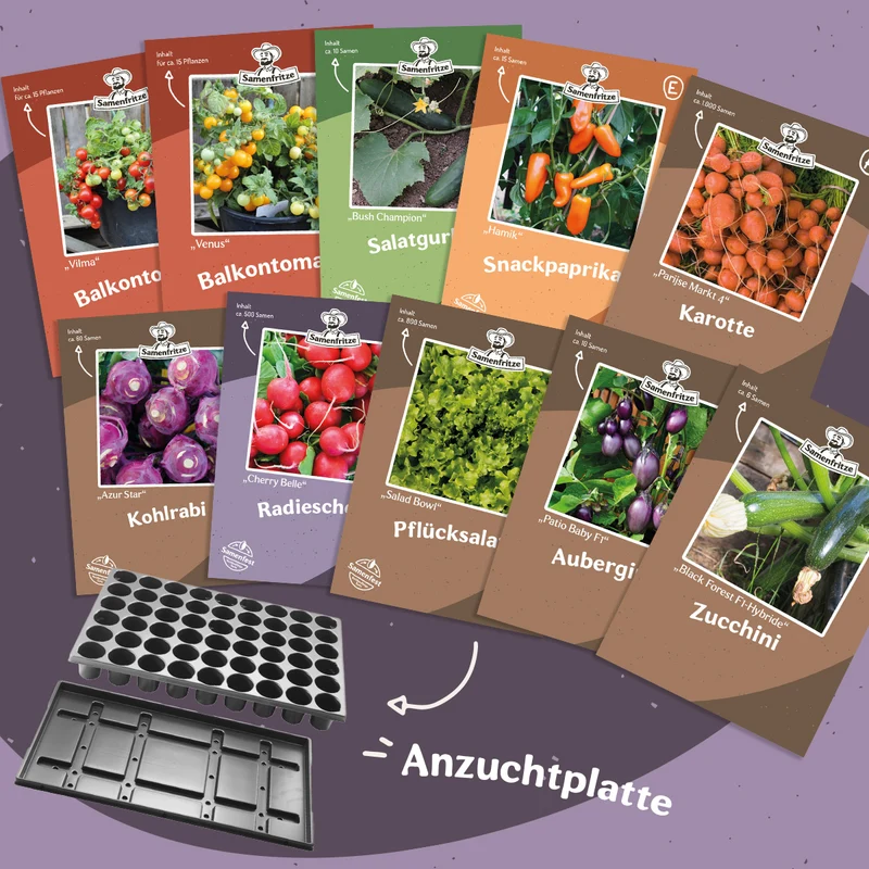 Balkongarten-Set inkl. 54er QuickPot Anzuchtplatte & Untersetzer Einkauf