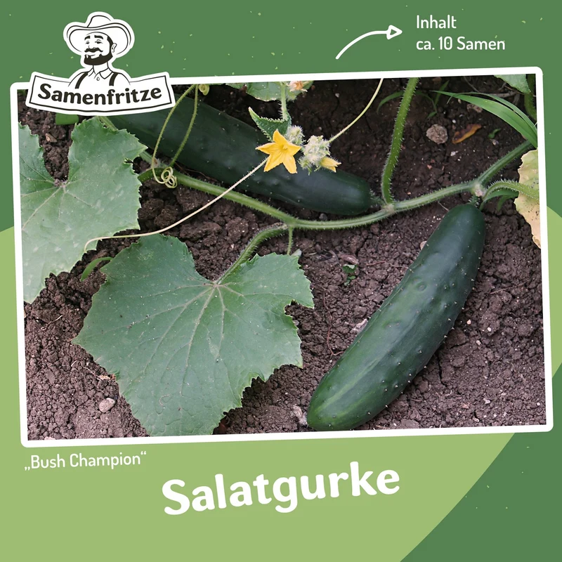 Balkongarten-Set inkl. 54er QuickPot Anzuchtplatte & Untersetzer Einkauf