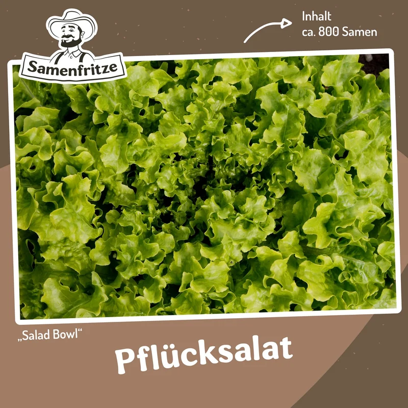 Balkongarten-Set inkl. 54er QuickPot Anzuchtplatte & Untersetzer Einkauf
