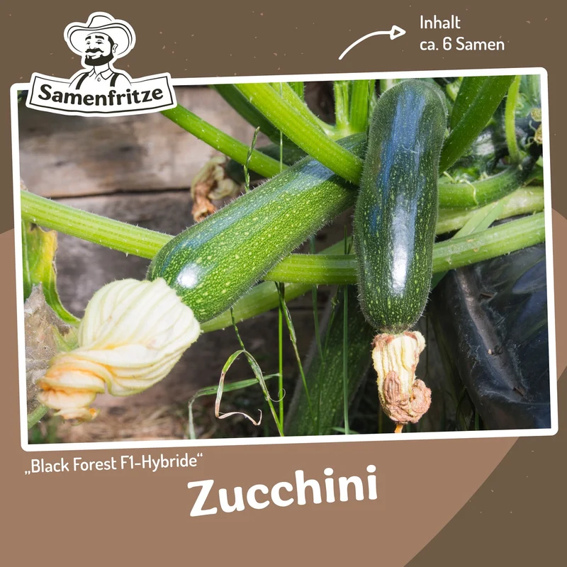 Balkongarten-Set inkl. 54er QuickPot Anzuchtplatte & Untersetzer Einkauf