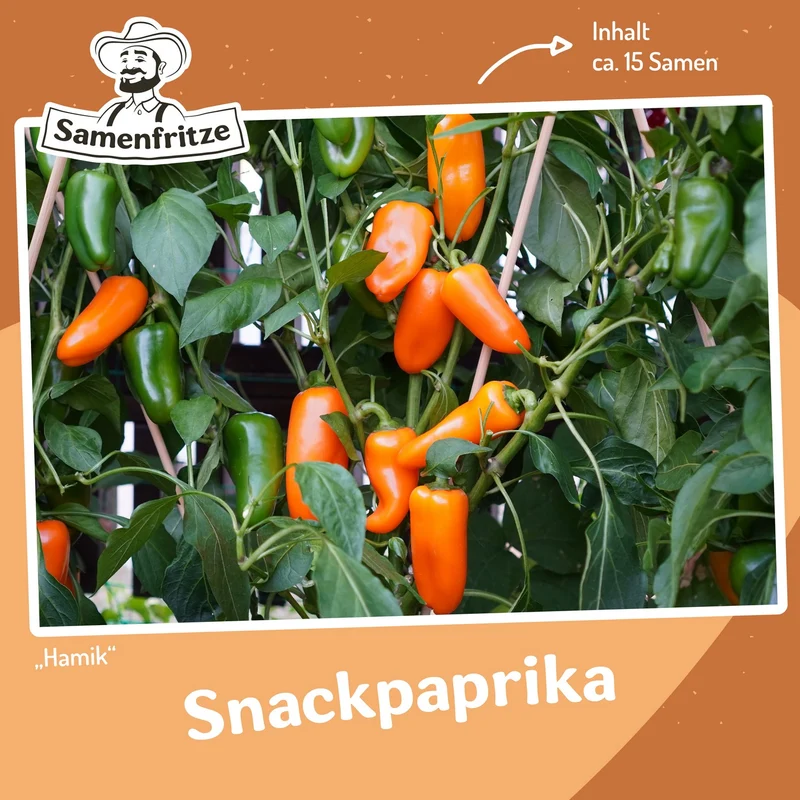 Balkongarten-Set Einkauf