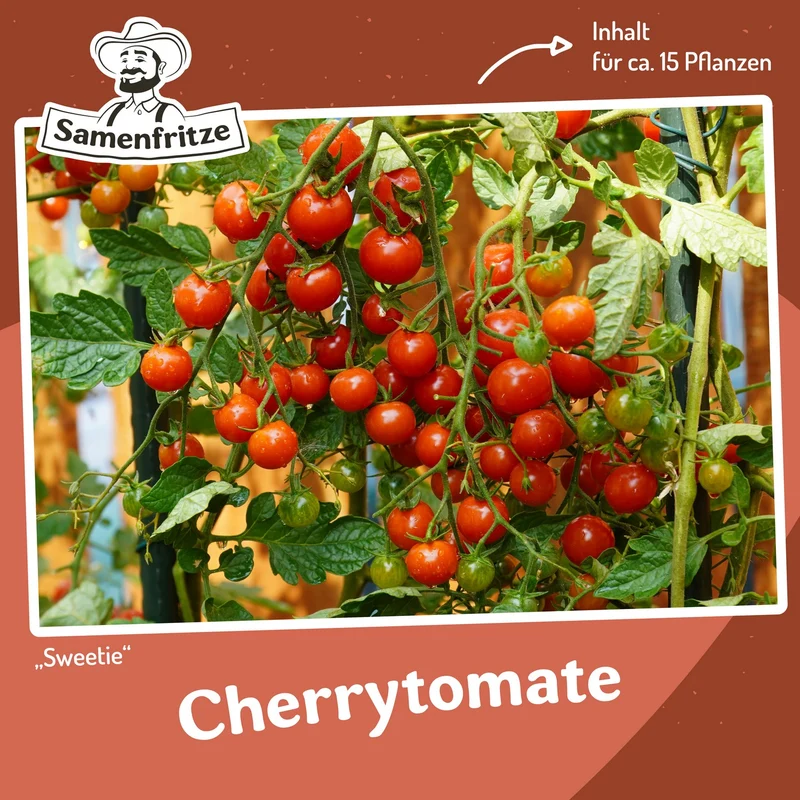 Freilandtomate-Set inkl. 54er QuickPot Anzuchtplatte & Untersetzer Einkauf