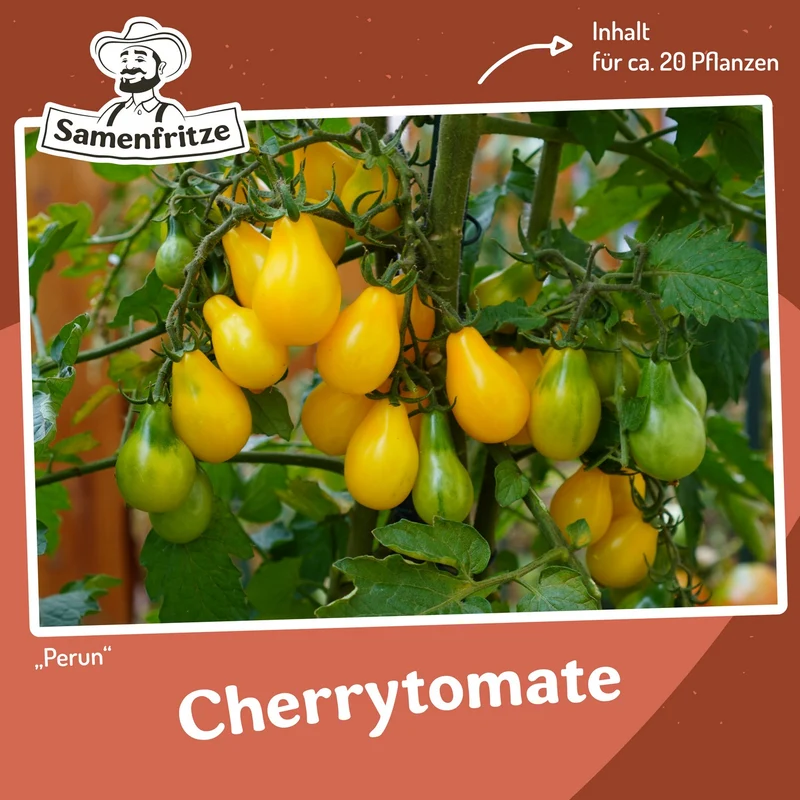 Freilandtomate-Set inkl. 54er QuickPot Anzuchtplatte & Untersetzer Einkauf