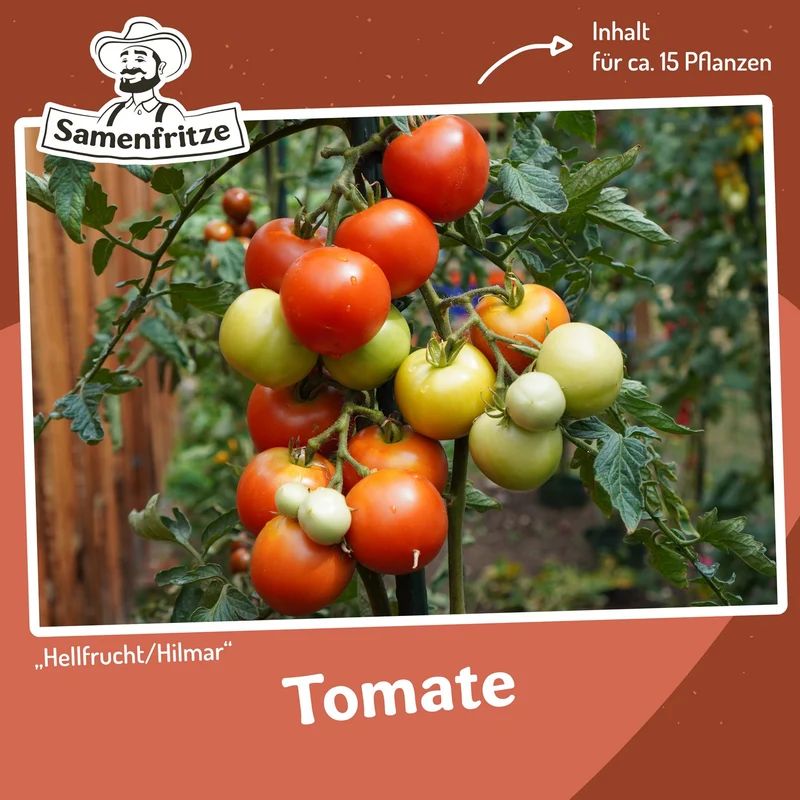 Freilandtomate-Set inkl. 54er QuickPot Anzuchtplatte & Untersetzer Einkauf