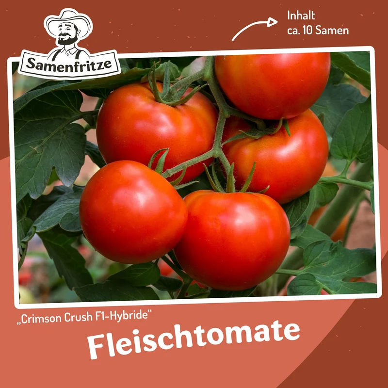 Freilandtomate-Set inkl. 54er QuickPot Anzuchtplatte & Untersetzer Einkauf
