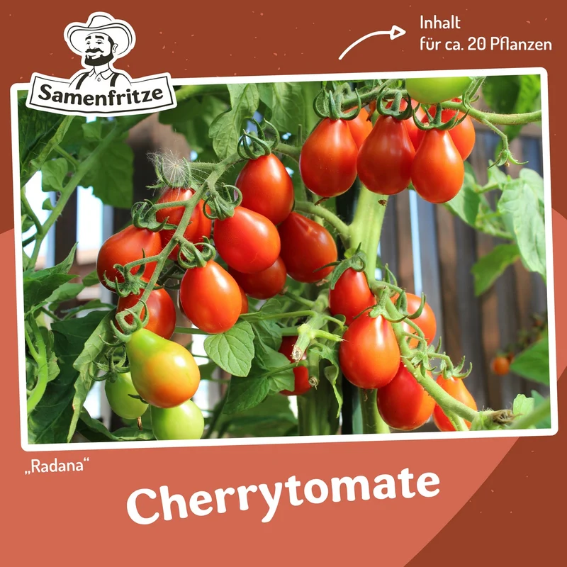 Freilandtomate-Set inkl. 54er QuickPot Anzuchtplatte & Untersetzer Einkauf
