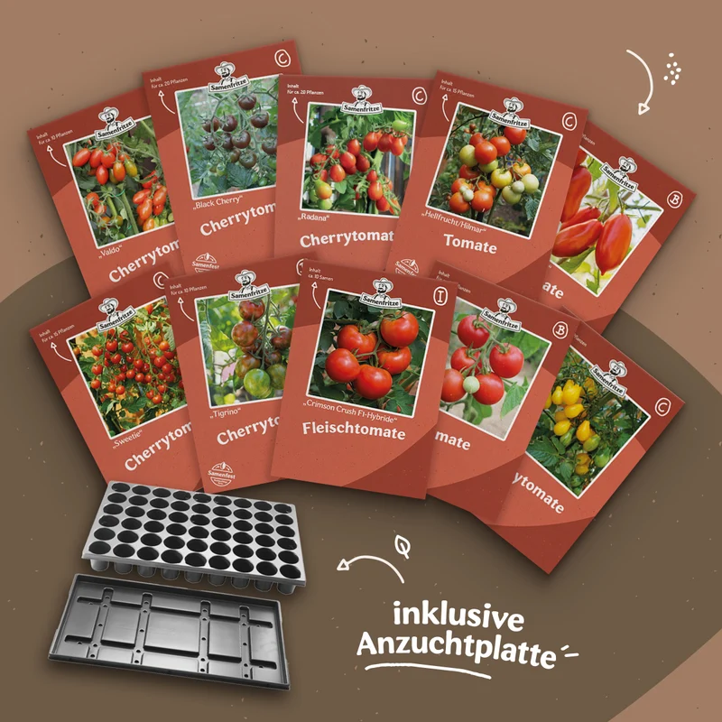 Freilandtomate-Set inkl. 54er QuickPot Anzuchtplatte & Untersetzer Einkauf
